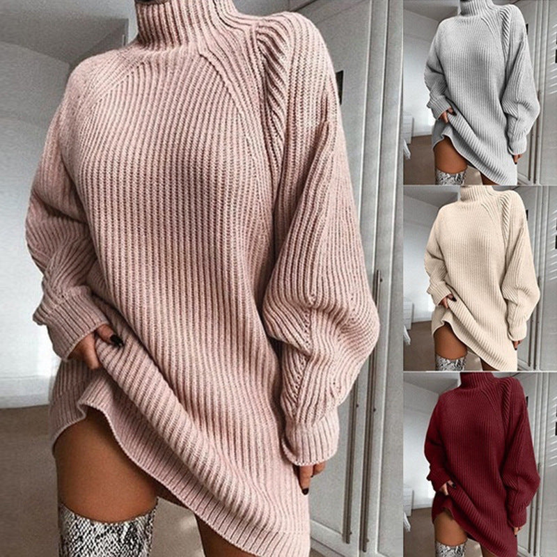 Women's Solid Turtleneck Long Sweater
