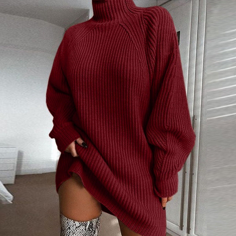 Women's Solid Turtleneck Long Sweater