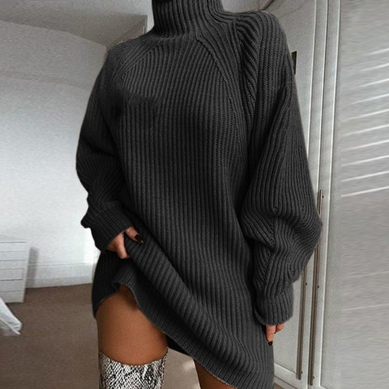 Women's Solid Turtleneck Long Sweater