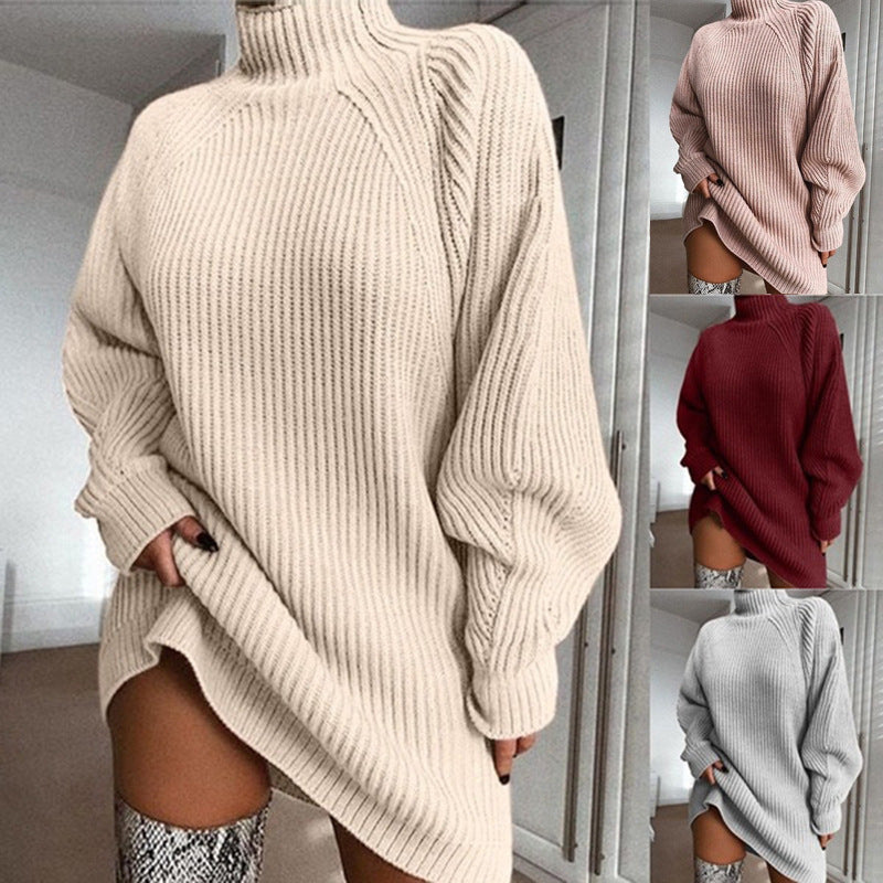 Women's Solid Turtleneck Long Sweater